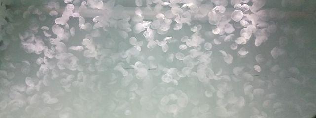 零下　さんの壁紙画像