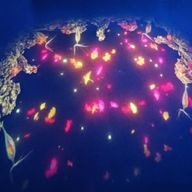 零下 推しの新ビジュ限定ガチャは控えめに言って神だし爆死案件さんのアイコン画像