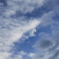 とらさんのアイコン画像