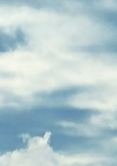 いらすと