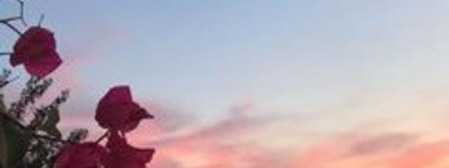春宵さんの壁紙画像