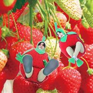 涼風苺　🩵🎋　treasureさんのアイコン画像