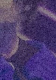 あのリーダー、死にたいようです。