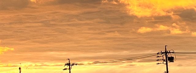 りるさんの壁紙画像