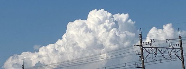 (°▽°)にこさんの壁紙画像