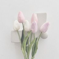 に ょ ちさんのアイコン画像