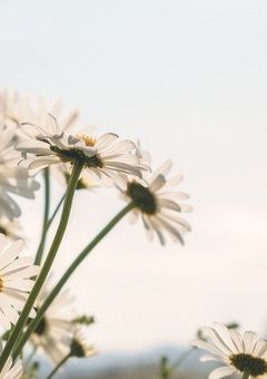 私は、君のタイプじゃない。
