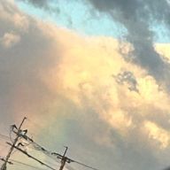 椿 蓮鴉さんのアイコン画像