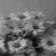 零凍 低浮さんのアイコン画像