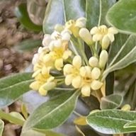 𝘢𝘬𝘰さんのアイコン画像