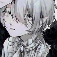 ぬこさんのアイコン画像