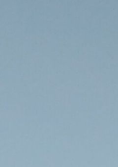 腐グループ（6）