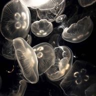 윤박さんのアイコン画像