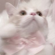 　　　𝖫𝗎𝗅𝗎 .さんのアイコン画像