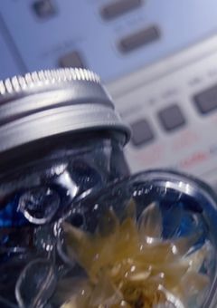  み ん な で 寄り添って 、