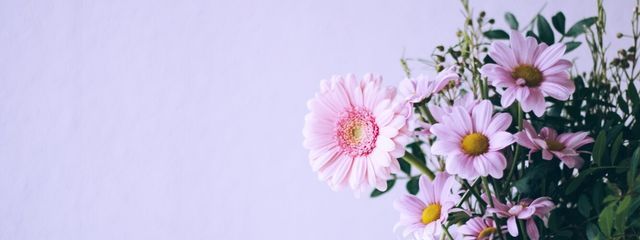 瑠莉奈さんの壁紙画像