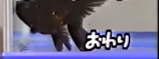 王城 天羅 #　渚乃は最高の相棒さんの壁紙画像