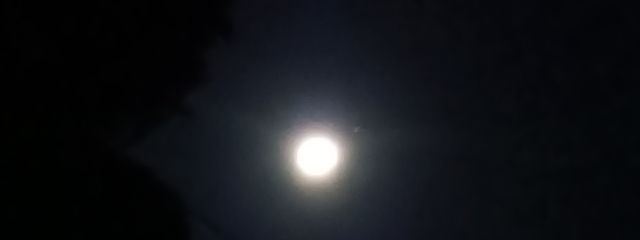 ユチおさんの壁紙画像