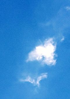 写真
