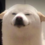 ♚﻿qqqq7♚﻿さんのアイコン画像