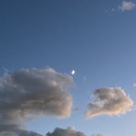 ぶるがりさんのアイコン画像