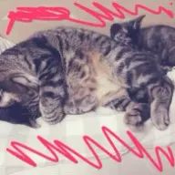 ゆあんさんのアイコン画像