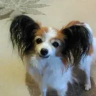 yuu1012    さんのアイコン画像