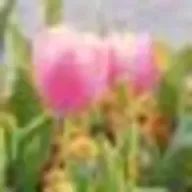 ㅇㅈさんのアイコン画像