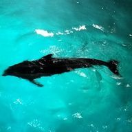 Gio.　　@名前変え常習犯さんのアイコン画像