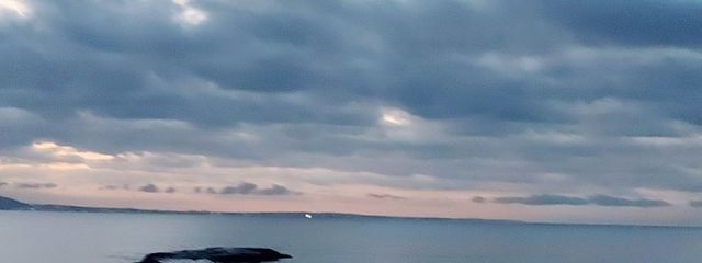 DREAM！💙🎧🐾@休憩中さんの壁紙画像