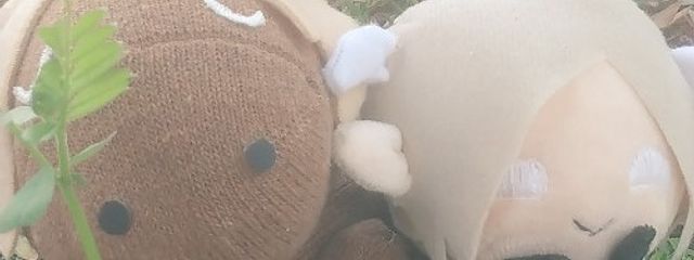 湊（そう）さんの壁紙画像