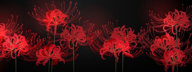 彼岸 憂花さんの壁紙画像