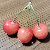 なっとうの娘さんのアイコン画像