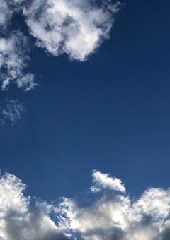 『僕の願ぃ…』