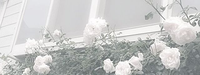 hiyono🐥🫧さんの壁紙画像