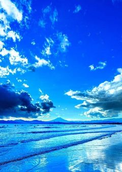 推しを持たない私が転生？した