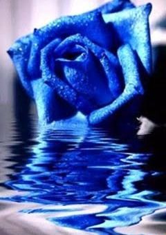 壊　音　_ kaito _