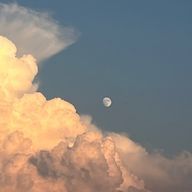 달 🌙さんのアイコン画像