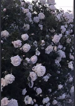 関係者募集~♡♡♡