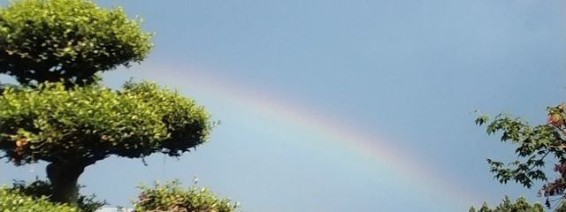 コロラキルさんの壁紙画像