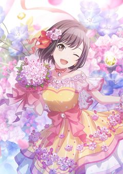 プロセカ大好き同盟