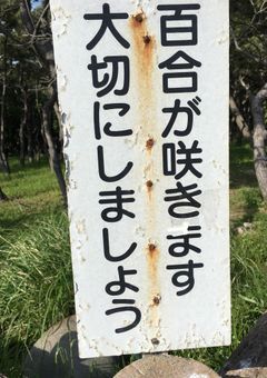 オリキャラを乗せたい！！！