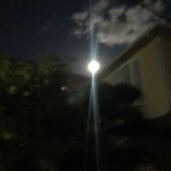 tintinさんのアイコン画像