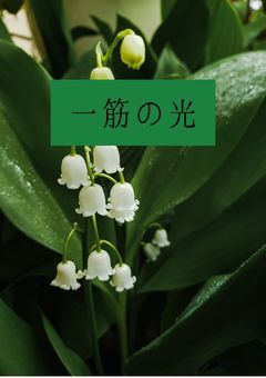 一筋の光