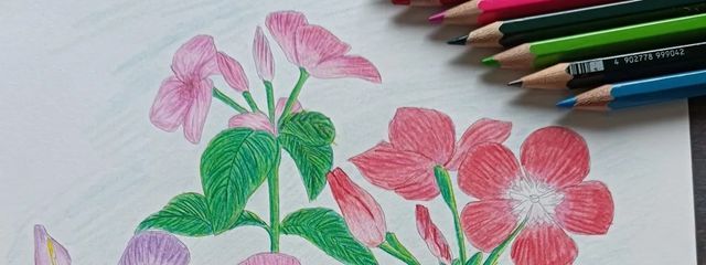 林檎雪🍎❄さんの壁紙画像