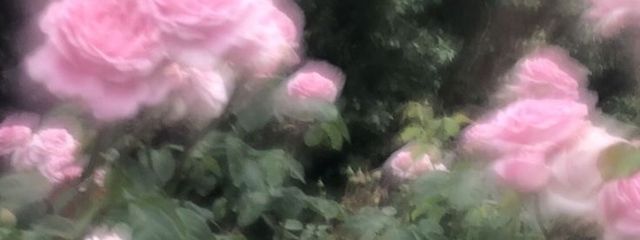 ♡さんの壁紙画像