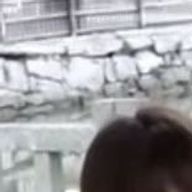 msrnyaさんのアイコン画像