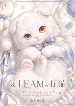 ＆TEAMの仔猫