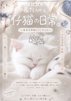 ＆TEAMと仔猫の日常。〜今日も平和（？）でした〜