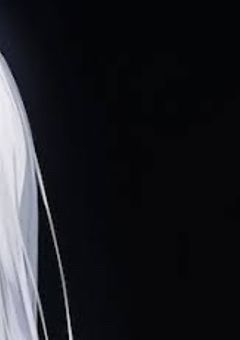 ブルロとか言うホスト集団ボコしたら受付に置かれました